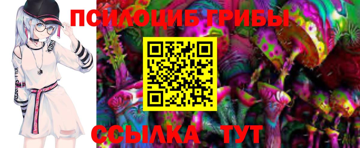 Галлюциногенные грибы Psilocybine cubensis  Вход с VPN  Усть-Лабинск 